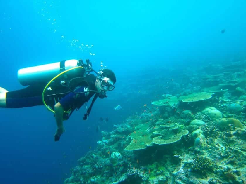 Buceo en las aguas de Maldivas Buceo en las aguas de Maldivas