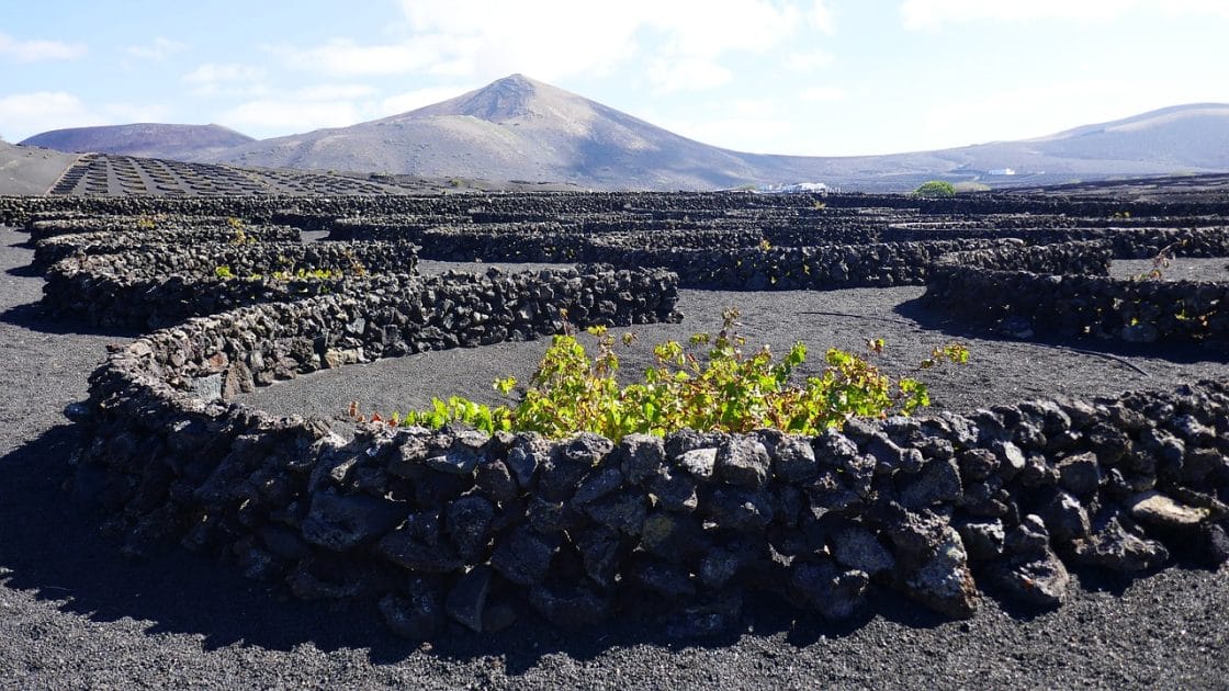 Rutas por los viñedos de La Geria, Lanzarote Rutas por los viñedos de La Geria, Lanzarote
