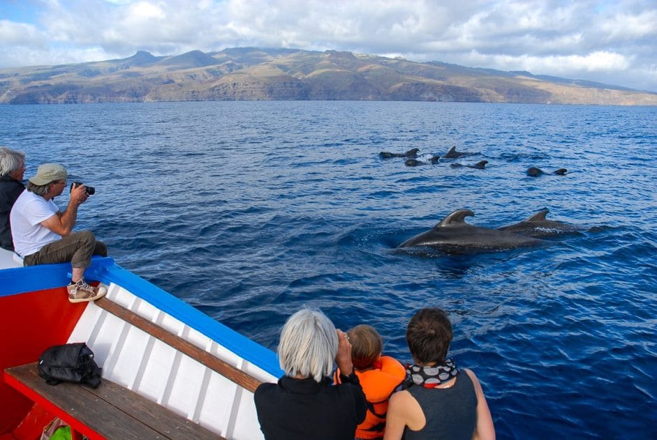 Avistamiento de cetáceos con Océano Whale Watching La Gomera. Excursiones en barco por Canarias