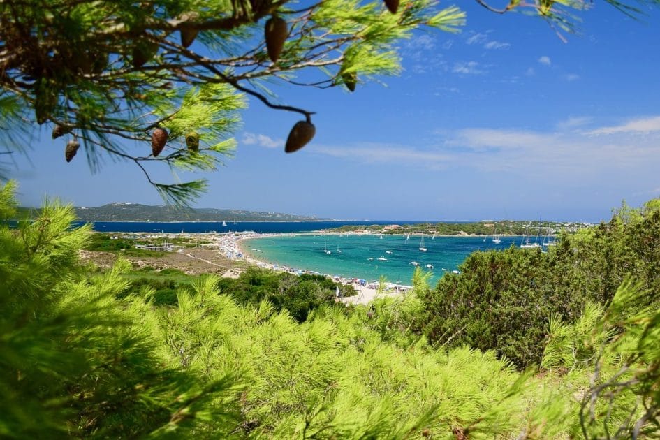 Porto Pollo, Cerdeña