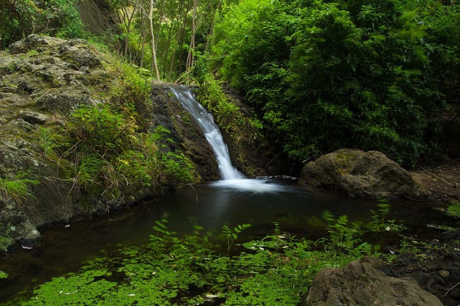 Cascada en el Barranco de Azuaje. Foto de Tamara k