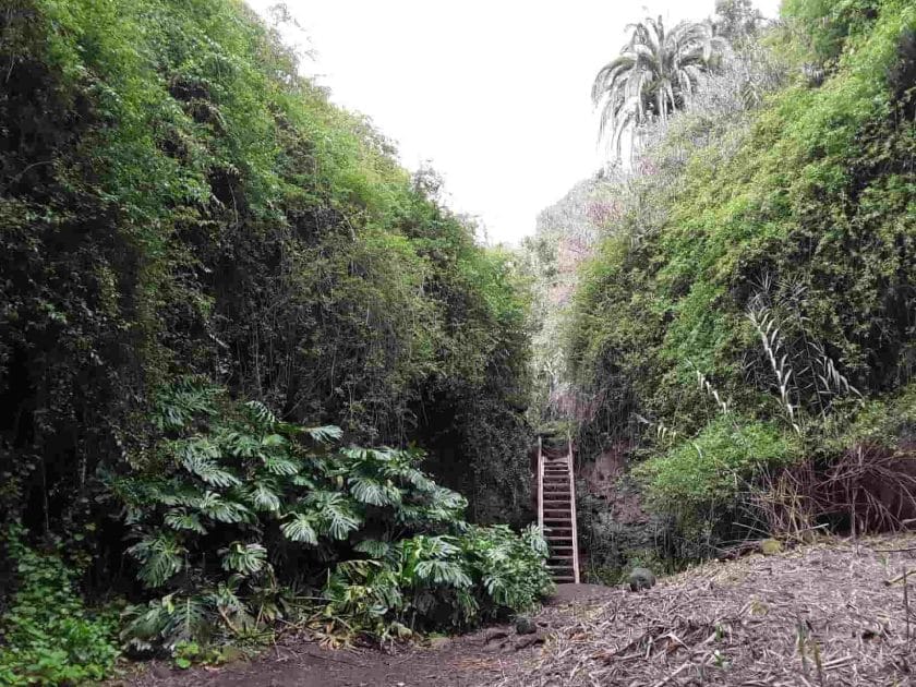 Las escaleras del Sendero del Álamo. Foto de Google Maps de Francisco De La Cruz Ortega