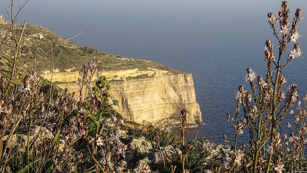 Qué hacer en Malta - Caminar por los Acantilados de Dingli. Foto de VillageHero from Ulm, Germany, CC BY SA 2.0 Qué hacer en Malta Caminar por los Acantilados de Dingli. Foto de VillageHero from Ulm, Germany, CC BY SA 2.0