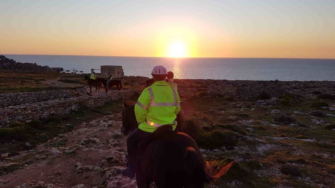 Qué hacer en Malta - Excursiones a caballo con Golden Bay Horse Riding Qué hacer en Malta Excursiones a caballo con Golden Bay Horse Riding