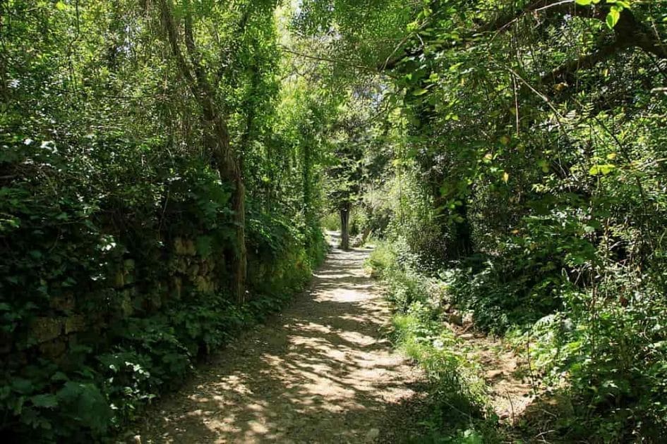 Qué hacer en Malta - Senderismo en Buskett Gardens. Foto de Frank Vincentz, CC BY SA 3.0 Qué hacer en Malta Senderismo en Buskett Gardens. Foto de Frank Vincentz, CC BY SA 3.0