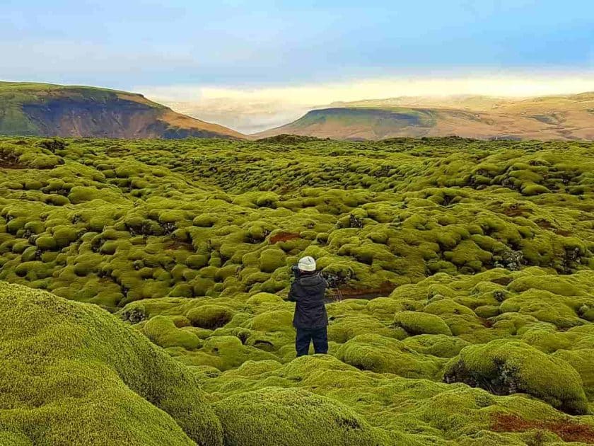 Turismo en Islandia Campo de lava de Eldhraun