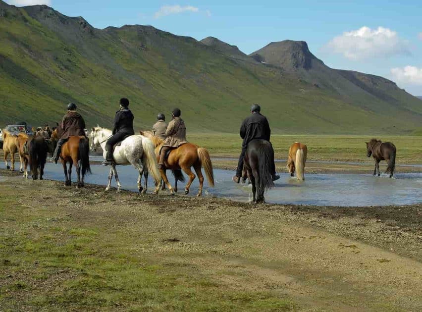 Turismo en Islandia Rutas en caballos islandeses