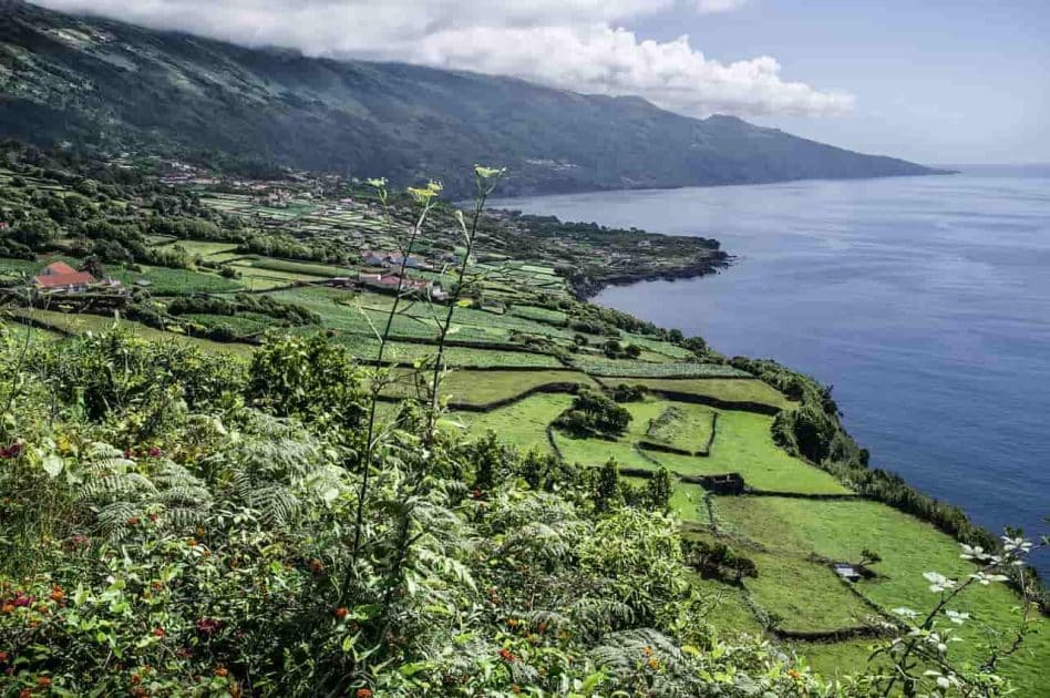 Viaje a Islas Azores, Portugal Isla del Pico