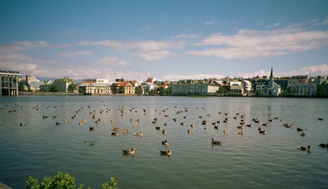 Cosas que ver en Reikiavik en 1 día Lago Tjörnin Cosas que ver en Reikiavik en 1 día Lago Tjörnin