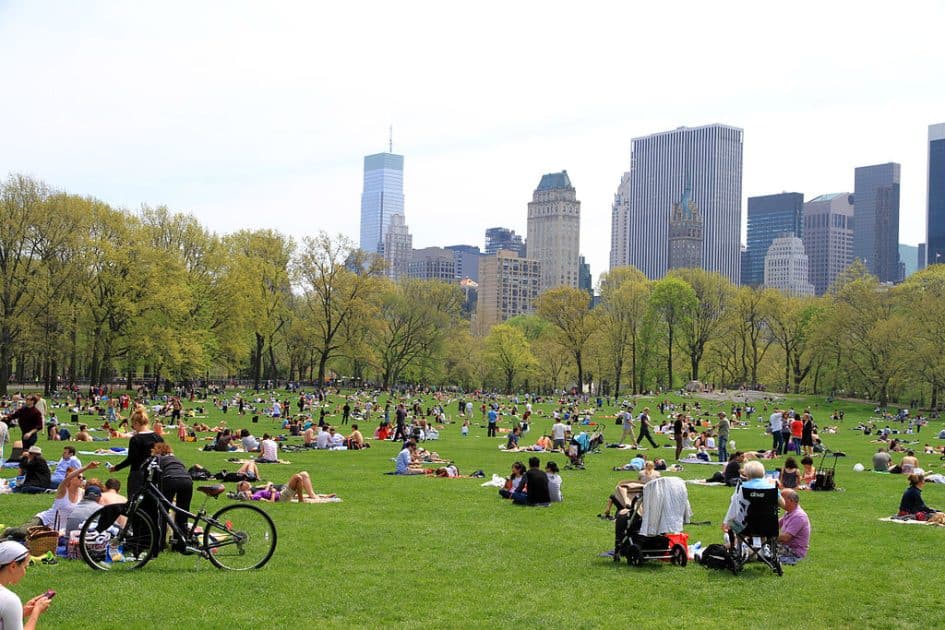 Qué ver en Manhattan Sheep Meadow en Central Park. Foto de Ingfbruno Qué ver en Manhattan Sheep Meadow en Central Park. Foto de Ingfbruno
