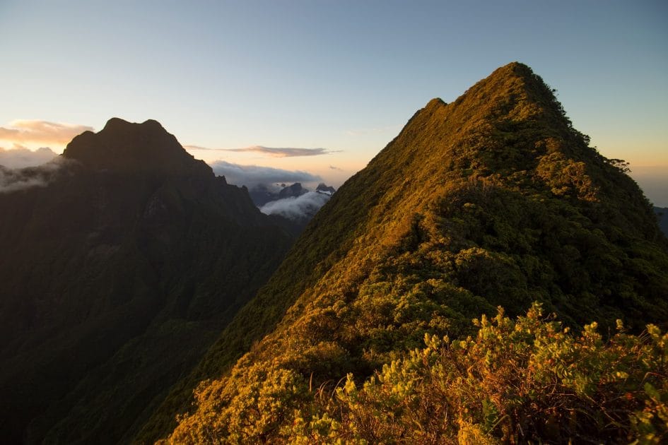 Qué hacer en Tahití Monte Aorai. Foto de Google Maps de Jérémy Rondan Qué hacer en Tahití Monte Aorai. Foto de Google Maps de Jérémy Rondan