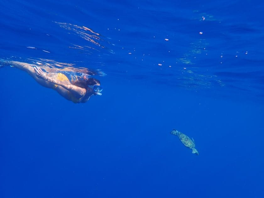 Qué hacer en Tahití Snorkel en Tahití Lagoon Paradise. Foto de Google Maps de Rebecca Mecey Qué hacer en Tahití Snorkel en Tahití Lagoon Paradise. Foto de Google Maps de Rebecca Mecey