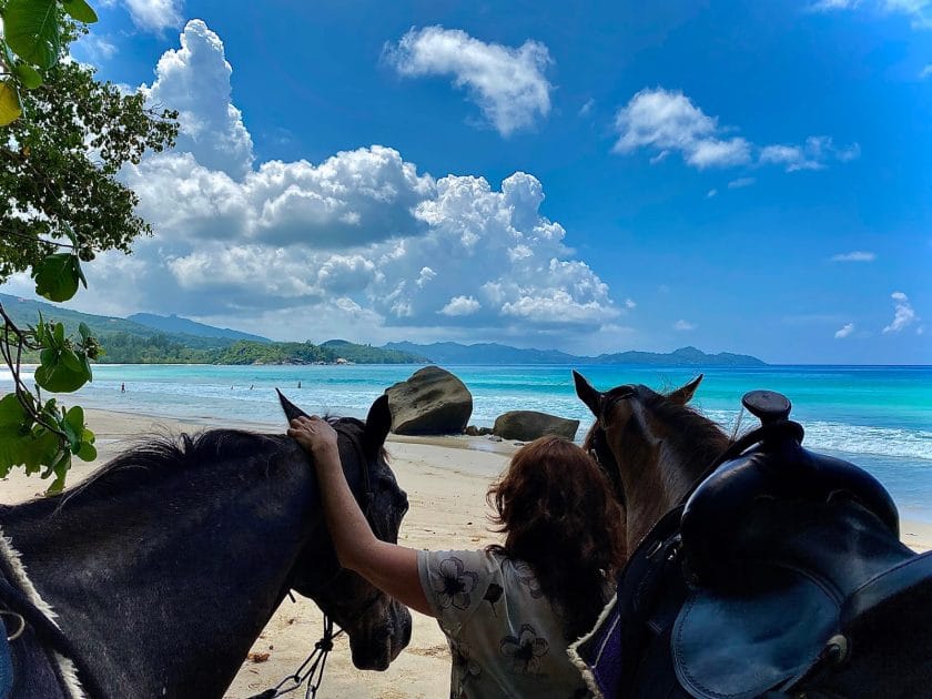 Qué ver en Seychelles Paseos a caballo. Foto de Google Maps de Petra Ruoss Qué ver en Seychelles Paseos a caballo. Foto de Google Maps de Petra Ruoss