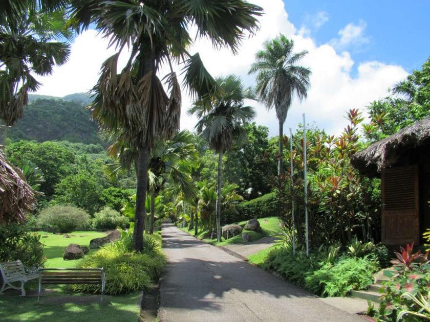 Viajar a las islas Seychelles Jardines Botánicos en Victoria. Foto de David Stanley from Nanaimo, Canada, CC BY 2.0 Viajar a las islas Seychelles Jardines Botánicos en Victoria. Foto de David Stanley from Nanaimo, Canada, CC BY 2.0