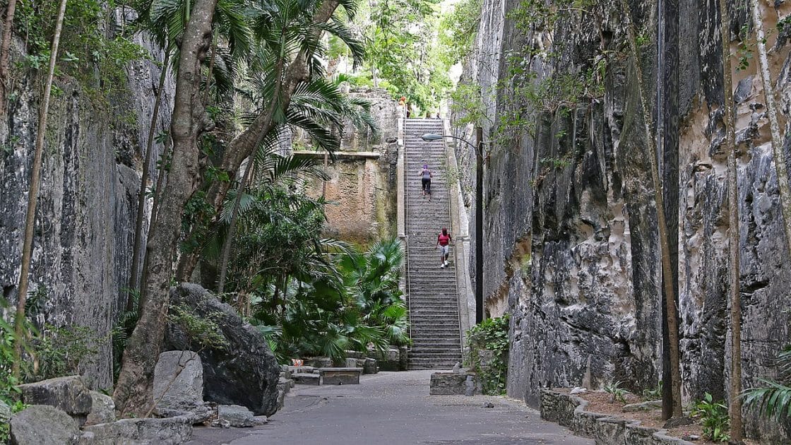 Viajes a las Bahamas Escalera de la Reina. Foto de Banja Frans Mulder