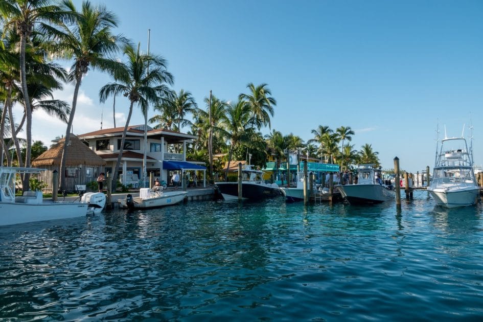 Viajes a las Bahamas North Bimini. Foto de Google Maps de Victor Resti
