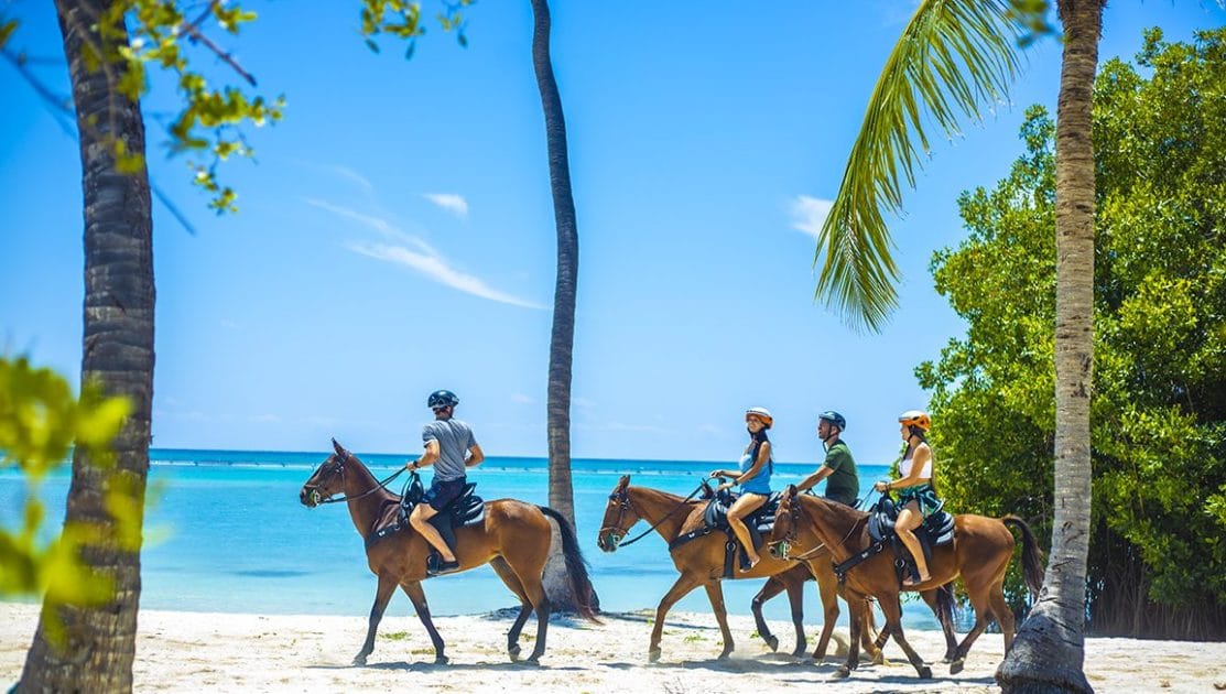 Excursiones en Punta Cana Paseos a caballo. Foto de Google Maps de Swim Horse Punta Cana Excursiones en Punta Cana Paseos a caballo. Foto de Google Maps de Swim Horse Punta Cana