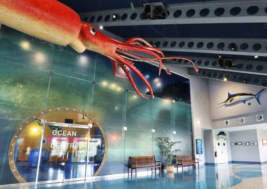 Turismo en Islas Bermudas Instituto de Exploración Submarina. Foto de Google Maps de Ocean Discovery Centre Bermuda Underwater Exploration Institute (BUEI) Turismo en Islas Bermudas Instituto de Exploración Submarina. Foto de Google Maps de Ocean Discovery Centre Bermuda Underwater Exploration Institute (BUEI)