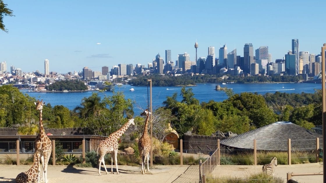 Turismo en Sydney, Australia Taronga Zoo. Foto de Google Maps de Michael Karpenkov