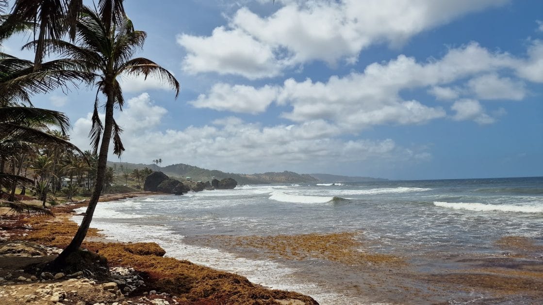 Viajar a Barbados Bathsheba. Foto de Google Maps de Rhiannon Watkins Viajar a Barbados Bathsheba. Foto de Google Maps de Rhiannon Watkins