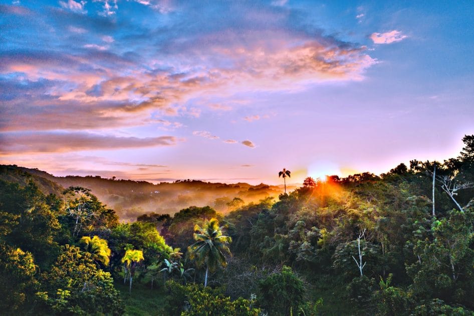 Viajes a Jamaica Blue Mountains. Foto de Google Maps de Christina K