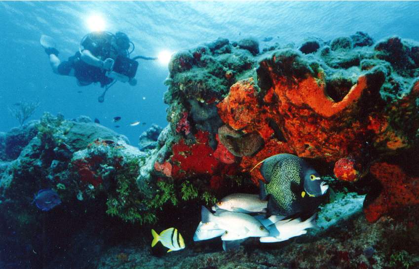 Viajes a Jamaica Buceo en Runaway Bay. Foto de Google Maps de Scubaquatic