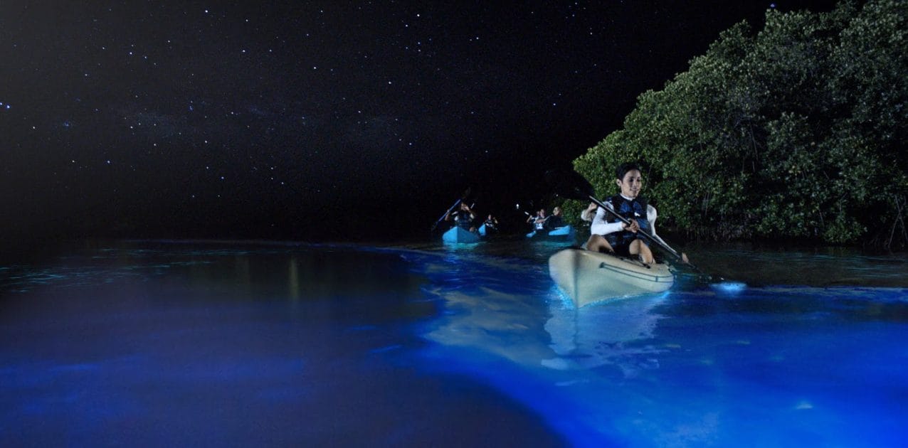 Viajes a Puerto Rico Bioluminiscencia en Mosquito Bay. Foto de Google Maps de Bao Ho The