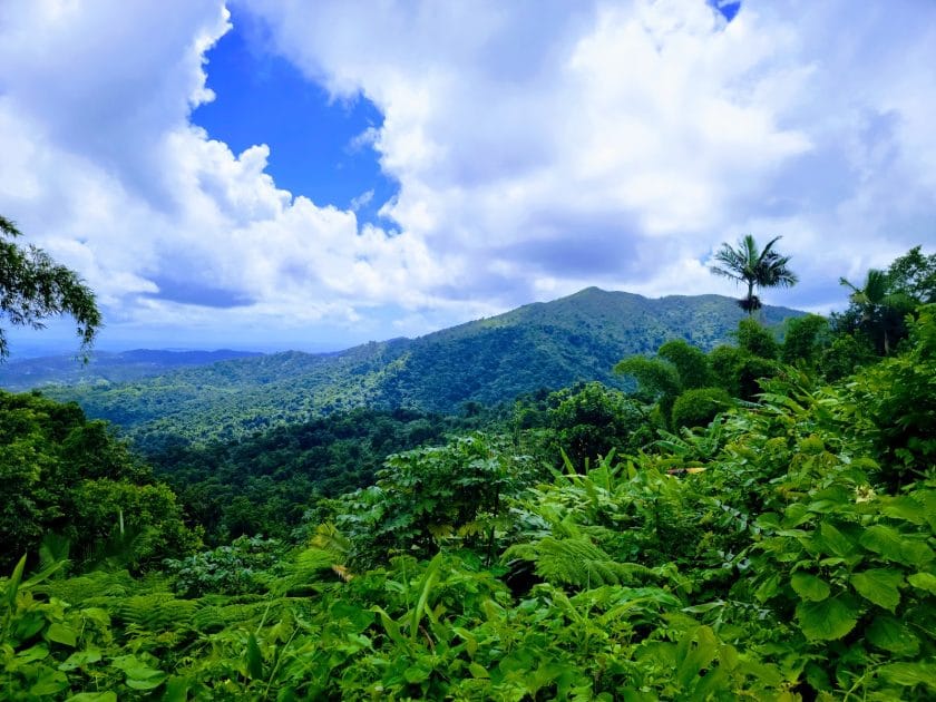 Viajes a Puerto Rico Bosque Nacional El Yunque. Foto de Google Maps de Danny Cedeño
