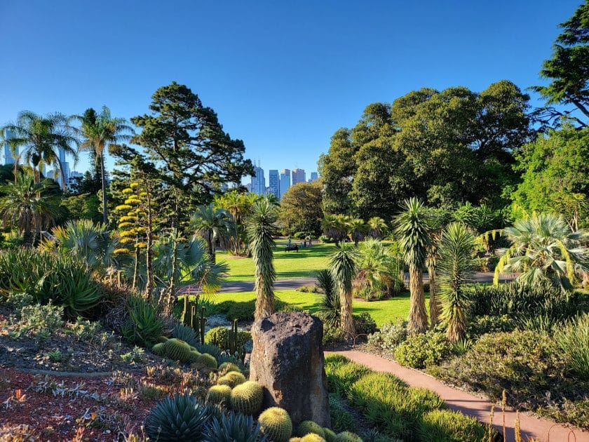 Qué ver en Melbourne La exuberante vegetación del Real Jardín Botánico. Foto de Google Maps de Luke Baker Qué ver en Melbourne La exuberante vegeación del Real Jardín Botánico. Foto de Google Maps de Luke Baker