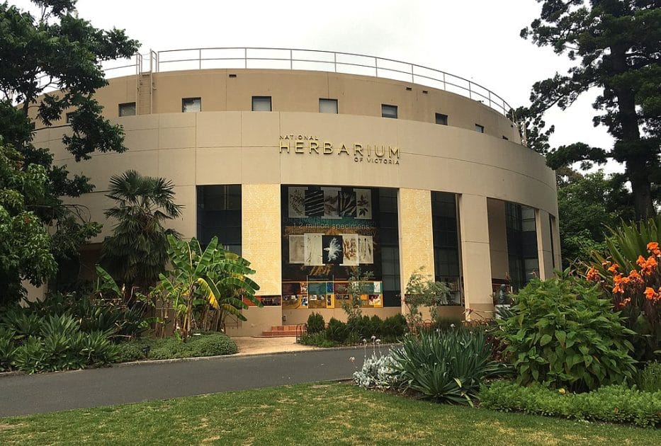 Qué ver en Melbourne National Herbarium. Foto de Ypna, CC BY SA 4.0 Qué ver en Melbourne National Herbarium. Foto de Ypna, CC BY SA 4.0