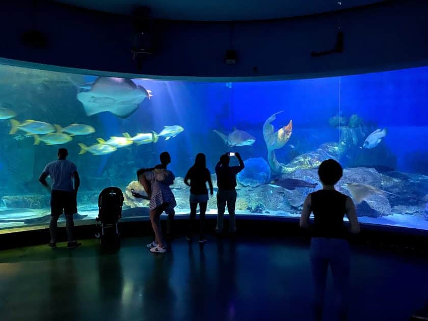 Qué ver en Melbourne Oceanarium. Foto de Google Maps de Darren Langman Qué ver en Melbourne Oceanarium. Foto de Google Maps de Darren Langman