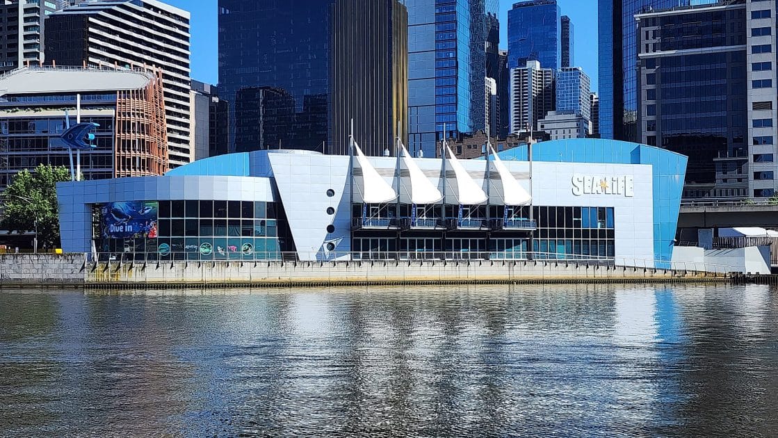 Qué ver en Melbourne Sea Lige Aquarium. Foto de Shkuru Afshar, CC BY SA 4.0 Qué ver en Melbourne Sea Lige Aquarium. Foto de Shkuru Afshar, CC BY SA 4.0