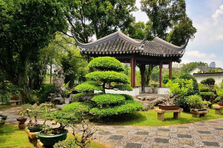 Qué ver en Singapur Bonsai Garden. Foto de Google Maps de Liliana Nestor