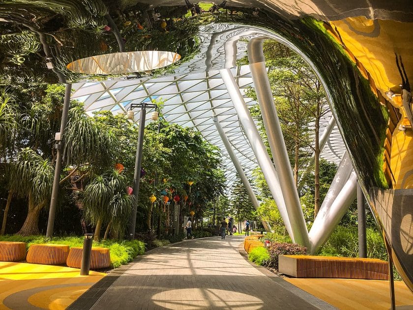 Qué ver en Singapur Canopy Park. Foto de cattan2011, CC BY 2.0
