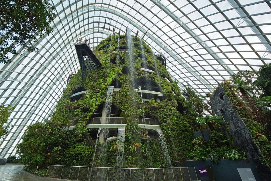 Qué ver en Singapur Cloud Forest. Foto de Allie Caulfield., CC BY 2.0