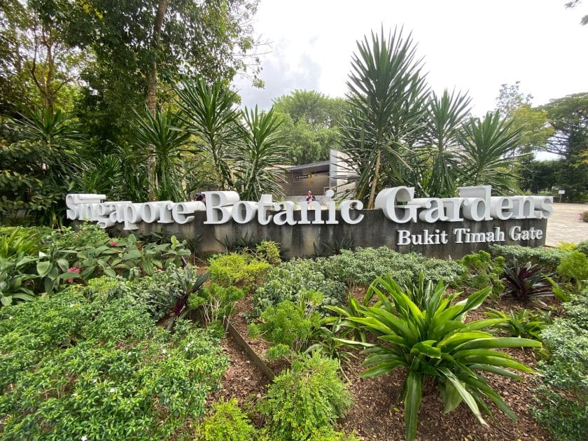 Qué ver en Singapur Singapore Botanic Gardens. Foto de Google Maps de Vithaya W.