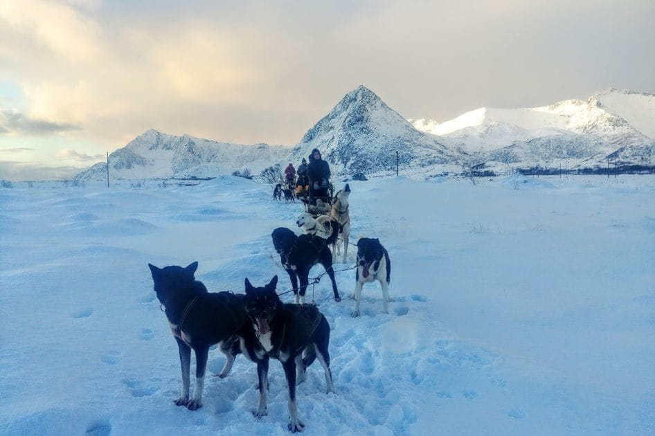 Viaje a Islas Lofoten, Noruega Excursiones en trineos de perros. Foto de Google Maps de Lila Nicole Fuchs