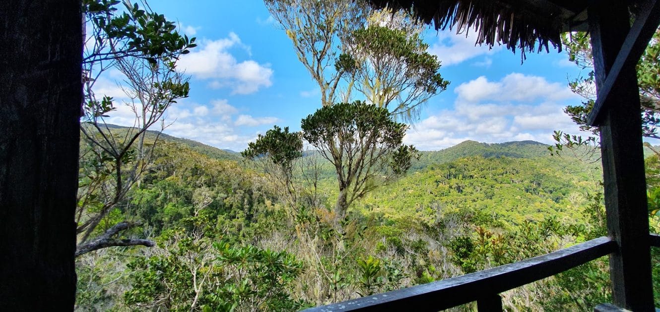 Madagascar, Parque Nacional Andasibe Mantadia