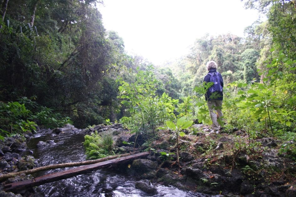 Trekking en Madagascar, Parque Nacional Montagne d’Ambre