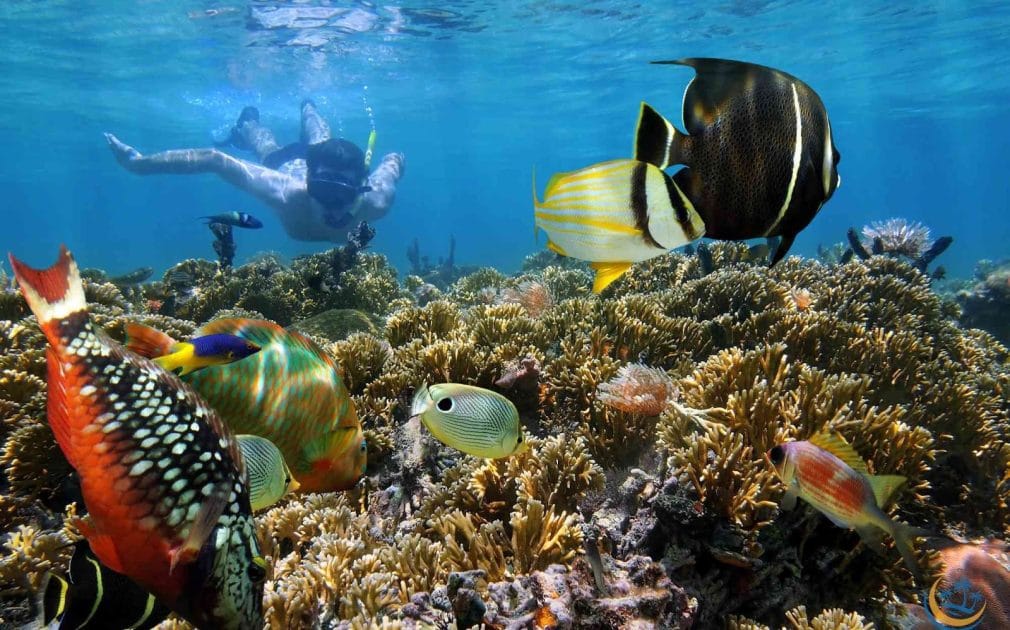 Deporte en Madagascar, Snorkel en Nosy Tanikely