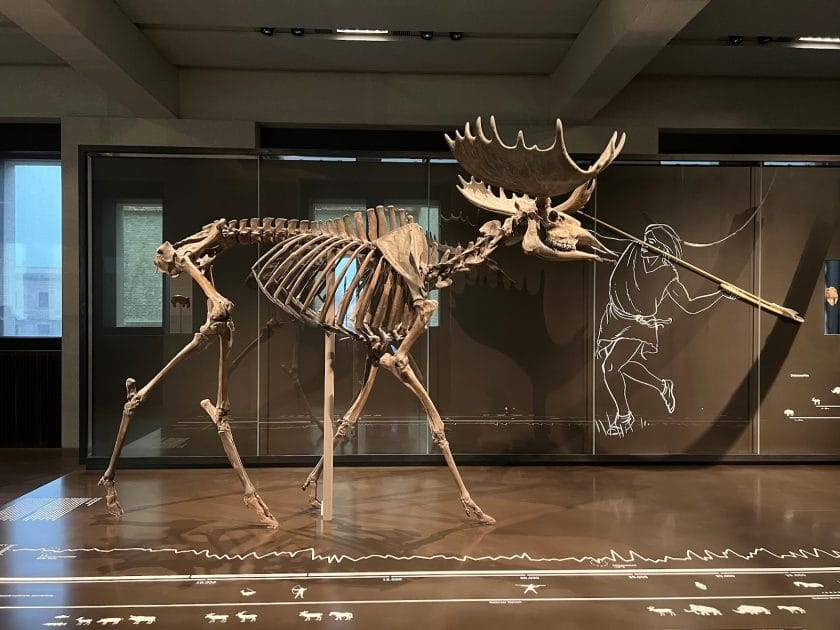 Isla de los Museos de Berlín Colecciones del Neues Museum. Foto de Google Maps de ZHAOXU QU Isla de los Museos de Berlín Colecciones del Neues Museum. Foto de Google Maps de ZHAOXU QU
