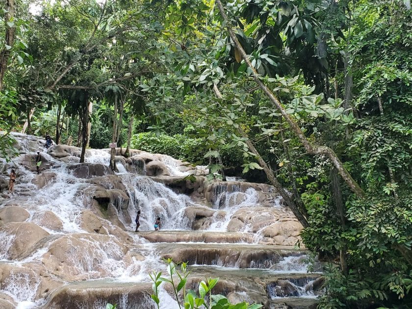Cosas que hacer en Montego Bay, Jamaica Excursión a las Cascadas del Río Dunn en Ocho Ríos. Foto de Google Maps de Kyle Brown Naturaleza en Montego Bay, Jamaica, Excursión a las Cascadas del Río Dunn en Ocho Ríos