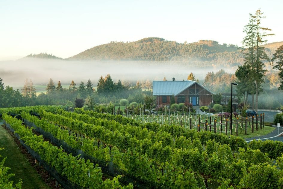 Enoturismo en Isla de Vancouver, Canadá, Blue Grouse Estate Winery