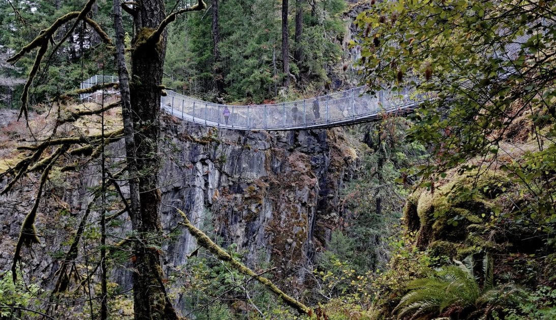 Travesías en Isla de Vancouver, Canadá, Puente colgante de Elk Falls Provincial Park