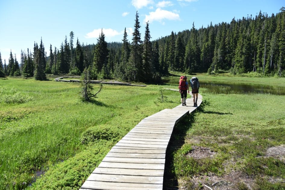 Actividades en Isla de Vancouver, Canadá, Sendero de Forbidden Plateau en Comox Valley