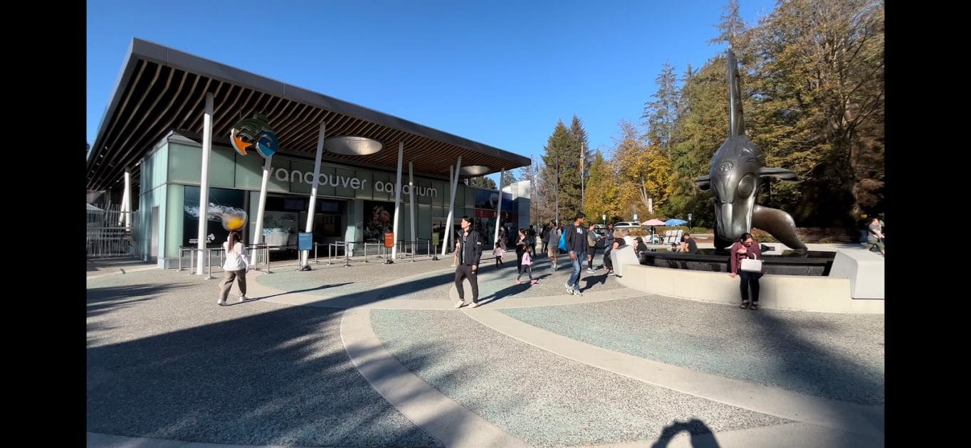 Viaje a Canadá, Vancouver Aquarium