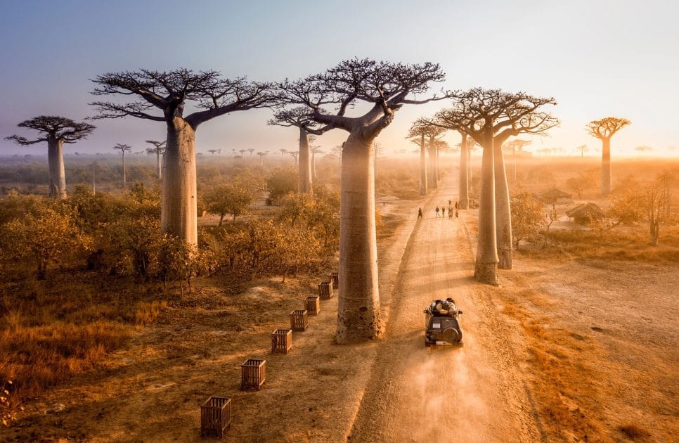 Viajar a Madagascar, Excursiones en 4x4 por la Avenida de Los Baobabs