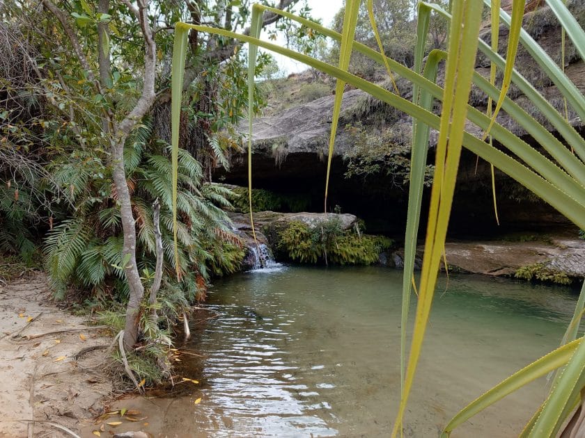 Madagascar, Piscina Natural en el Parque Nacional Isalo. 