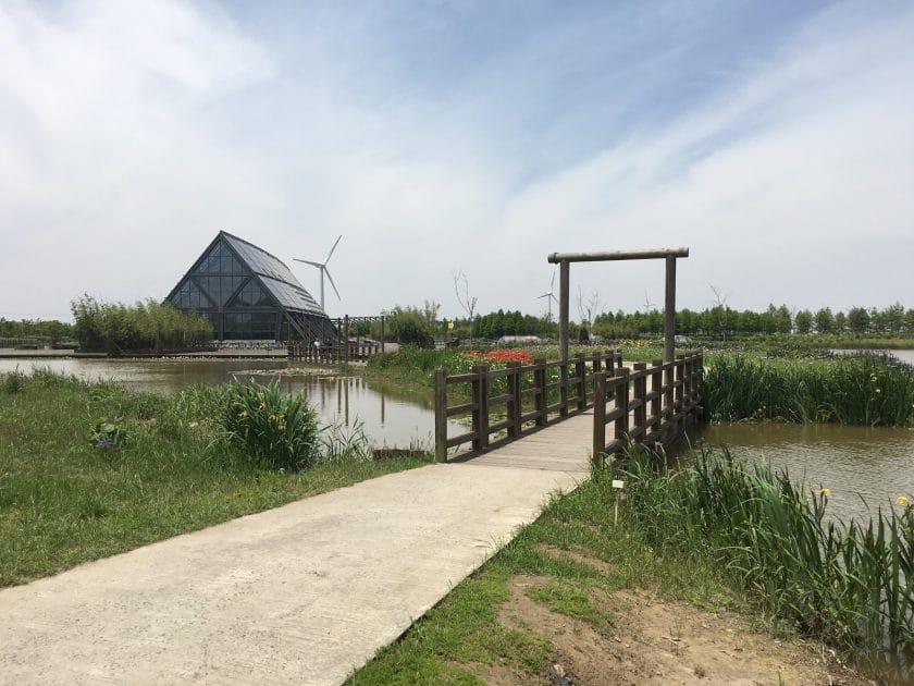 Islas de China Dongtan Wetland Park en Chongming