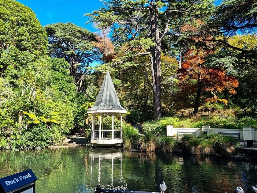 Naturaleza en Wellington, El Estanque de los Patos del Jardín Botánico